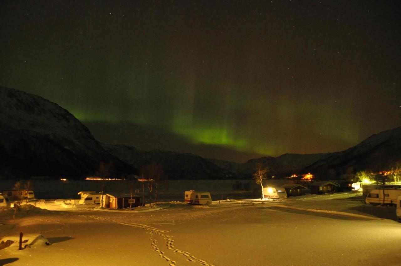 Gullesfjord Camping Kültér fotó