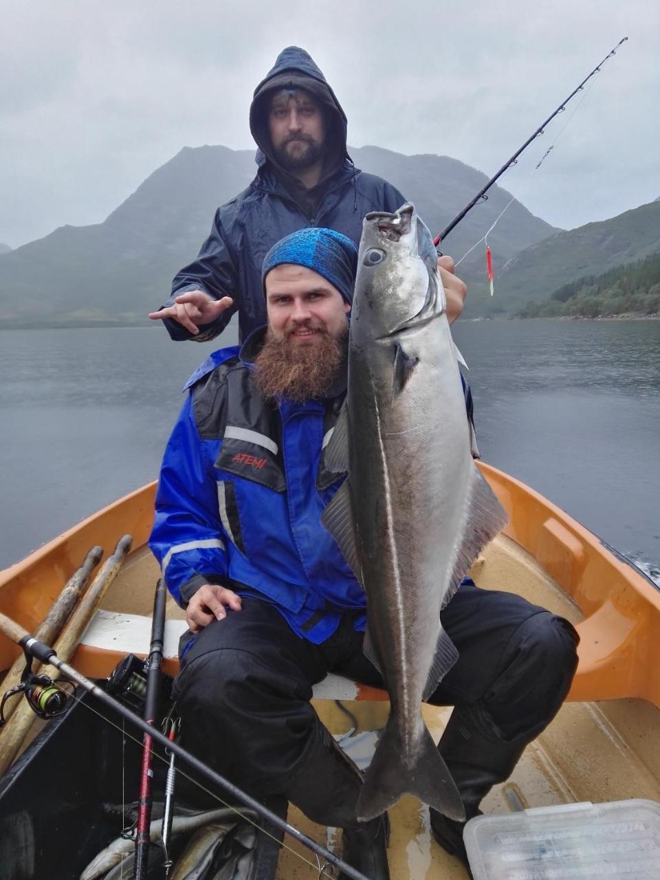 Gullesfjord Camping Kültér fotó